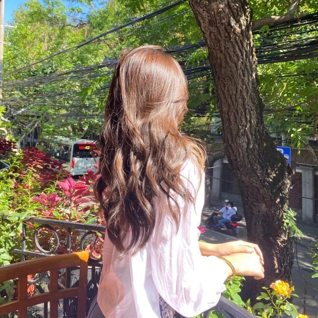 小岛2019